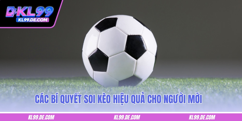 Top các loại kèo phổ biến tại nhà cái KL99